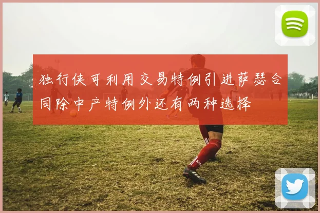 独行侠可利用交易特例引进萨瑟合同除中产特例外还有两种选择