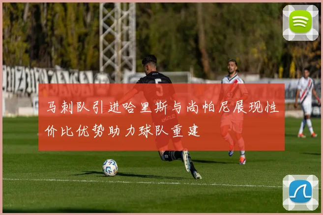 马刺队引进哈里斯与尚帕尼展现性价比优势助力球队重建
