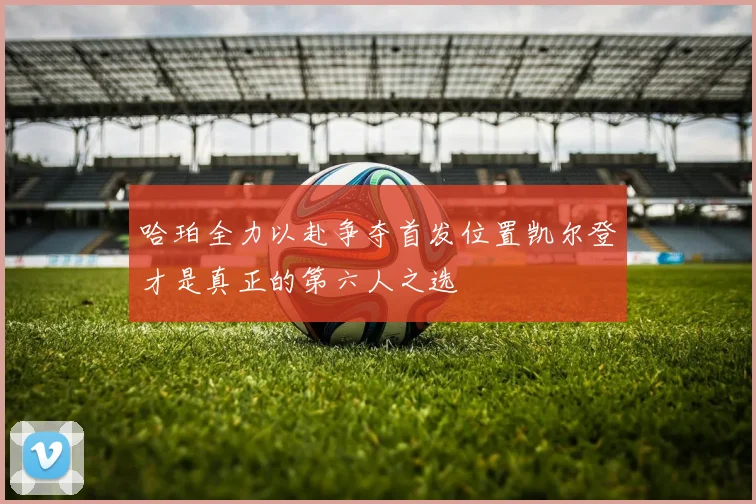哈珀全力以赴争夺首发位置凯尔登才是真正的第六人之选