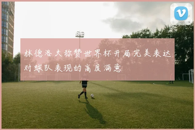 林德洛夫称赞世界杯开局完美表达对球队表现的高度满意